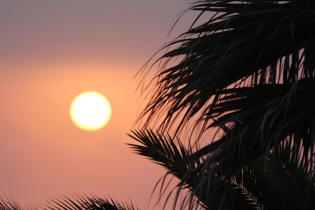 Chill In Ericeira Surf House Hostel Bagian luar foto